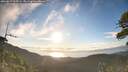 ./images/calvert/fitz-hugh-hecate/20260617/fitz-hugh-hecate20260617_063501M.jpg