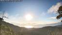 ./images/calvert/fitz-hugh-hecate/20260617/fitz-hugh-hecate20260617_064501M.jpg