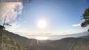 ./images/calvert/fitz-hugh-hecate/20260617/fitz-hugh-hecate20260617_065001M.jpg
