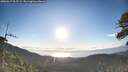 ./images/calvert/fitz-hugh-hecate/20260617/fitz-hugh-hecate20260617_065501M.jpg