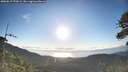 ./images/calvert/fitz-hugh-hecate/20260617/fitz-hugh-hecate20260617_070001M.jpg