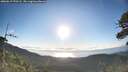 ./images/calvert/fitz-hugh-hecate/20260617/fitz-hugh-hecate20260617_070501M.jpg