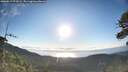 ./images/calvert/fitz-hugh-hecate/20260617/fitz-hugh-hecate20260617_071001M.jpg