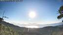 ./images/calvert/fitz-hugh-hecate/20260617/fitz-hugh-hecate20260617_071501M.jpg