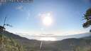 ./images/calvert/fitz-hugh-hecate/20260617/fitz-hugh-hecate20260617_072002M.jpg
