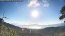 ./images/calvert/fitz-hugh-hecate/20260617/fitz-hugh-hecate20260617_073001M.jpg