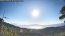 ./images/calvert/fitz-hugh-hecate/20260617/fitz-hugh-hecate20260617_073501M.jpg