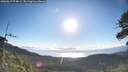 ./images/calvert/fitz-hugh-hecate/20260617/fitz-hugh-hecate20260617_074001M.jpg