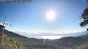 ./images/calvert/fitz-hugh-hecate/20260617/fitz-hugh-hecate20260617_075502M.jpg