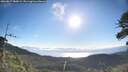 ./images/calvert/fitz-hugh-hecate/20260617/fitz-hugh-hecate20260617_080001M.jpg