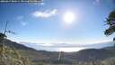 ./images/calvert/fitz-hugh-hecate/20260617/fitz-hugh-hecate20260617_081001M.jpg