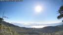 ./images/calvert/fitz-hugh-hecate/20260617/fitz-hugh-hecate20260617_081501M.jpg