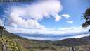 ./images/calvert/fitz-hugh-hecate/20260617/fitz-hugh-hecate20260617_103501M.jpg