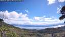 ./images/calvert/fitz-hugh-hecate/20260617/fitz-hugh-hecate20260617_104501M.jpg
