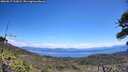 ./images/calvert/fitz-hugh-hecate/20260617/fitz-hugh-hecate20260617_122002M.jpg