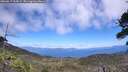 ./images/calvert/fitz-hugh-hecate/20260617/fitz-hugh-hecate20260617_134501M.jpg