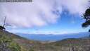 ./images/calvert/fitz-hugh-hecate/20260617/fitz-hugh-hecate20260617_140001M.jpg