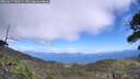 ./images/calvert/fitz-hugh-hecate/20260617/fitz-hugh-hecate20260617_140501M.jpg