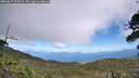 ./images/calvert/fitz-hugh-hecate/20260617/fitz-hugh-hecate20260617_143501M.jpg