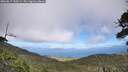 ./images/calvert/fitz-hugh-hecate/20260617/fitz-hugh-hecate20260617_153501M.jpg