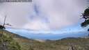 ./images/calvert/fitz-hugh-hecate/20260617/fitz-hugh-hecate20260617_155502M.jpg