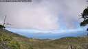 ./images/calvert/fitz-hugh-hecate/20260617/fitz-hugh-hecate20260617_160501M.jpg