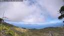 ./images/calvert/fitz-hugh-hecate/20260617/fitz-hugh-hecate20260617_161001M.jpg