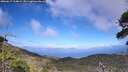 ./images/calvert/fitz-hugh-hecate/20260617/fitz-hugh-hecate20260617_164001M.jpg