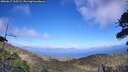 ./images/calvert/fitz-hugh-hecate/20260617/fitz-hugh-hecate20260617_165502M.jpg