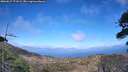 ./images/calvert/fitz-hugh-hecate/20260617/fitz-hugh-hecate20260617_171002M.jpg