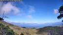./images/calvert/fitz-hugh-hecate/20260617/fitz-hugh-hecate20260617_171501M.jpg