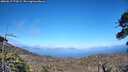 ./images/calvert/fitz-hugh-hecate/20260617/fitz-hugh-hecate20260617_174501M.jpg