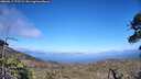 ./images/calvert/fitz-hugh-hecate/20260617/fitz-hugh-hecate20260617_175502M.jpg