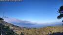 ./images/calvert/fitz-hugh-hecate/20260617/fitz-hugh-hecate20260617_194502M.jpg