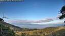 ./images/calvert/fitz-hugh-hecate/20260617/fitz-hugh-hecate20260617_203001M.jpg