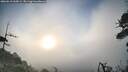 ./images/calvert/fitz-hugh-hecate/20260618/fitz-hugh-hecate20260618_060001M.jpg