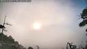 ./images/calvert/fitz-hugh-hecate/20260618/fitz-hugh-hecate20260618_062502M.jpg