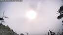 ./images/calvert/fitz-hugh-hecate/20260618/fitz-hugh-hecate20260618_071501M.jpg