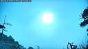 ./images/calvert/fitz-hugh-hecate/20260618/fitz-hugh-hecate20260618_073501M.jpg
