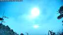./images/calvert/fitz-hugh-hecate/20260618/fitz-hugh-hecate20260618_074501M.jpg