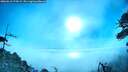./images/calvert/fitz-hugh-hecate/20260618/fitz-hugh-hecate20260618_075002M.jpg
