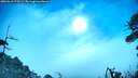 ./images/calvert/fitz-hugh-hecate/20260618/fitz-hugh-hecate20260618_075501M.jpg