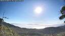 ./images/calvert/fitz-hugh-hecate/20260618/fitz-hugh-hecate20260618_080501M.jpg