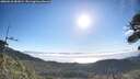 ./images/calvert/fitz-hugh-hecate/20260618/fitz-hugh-hecate20260618_081002M.jpg
