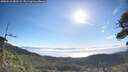 ./images/calvert/fitz-hugh-hecate/20260618/fitz-hugh-hecate20260618_082501M.jpg