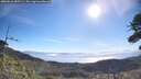 ./images/calvert/fitz-hugh-hecate/20260618/fitz-hugh-hecate20260618_085501M.jpg