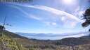 ./images/calvert/fitz-hugh-hecate/20260618/fitz-hugh-hecate20260618_100002M.jpg