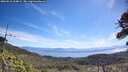 ./images/calvert/fitz-hugh-hecate/20260618/fitz-hugh-hecate20260618_104001M.jpg