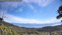./images/calvert/fitz-hugh-hecate/20260618/fitz-hugh-hecate20260618_105501M.jpg