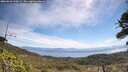 ./images/calvert/fitz-hugh-hecate/20260618/fitz-hugh-hecate20260618_110001M.jpg